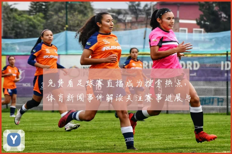 免费看足球赛直播成为搜索热点，体育新闻事件解读关注赛事进展与观赛安排影响