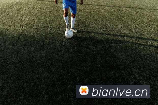 巅峰国标pg官网入口品牌故事